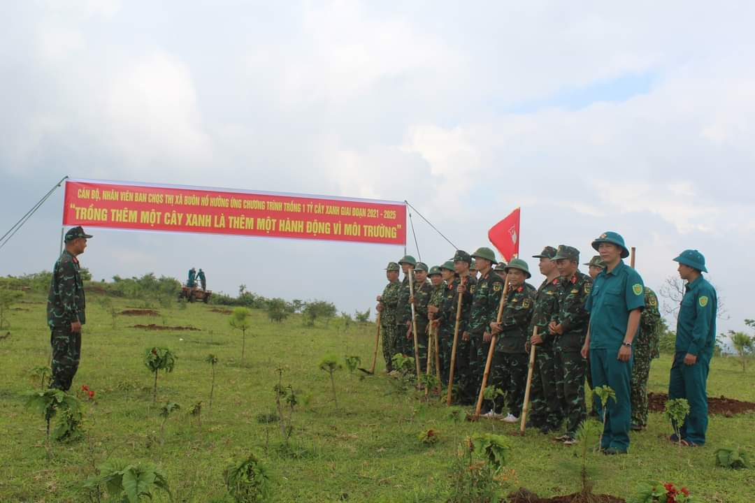 TRỒNG CÂY GÂY RỪNG