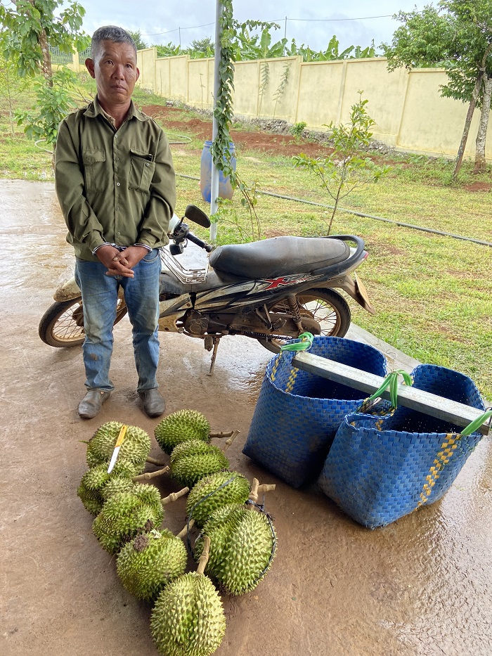 Công an thị xã triển khai nhiều biện pháp phòng ngừa, đấu tranh với tội phạm trong vụ mùa thu hoạch sầu riêng