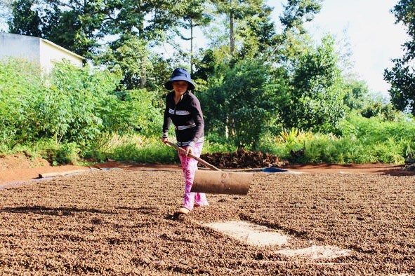 Vốn vay giải quyết việc làm: Đòn bẩy phát triển kinh tế bền vững
